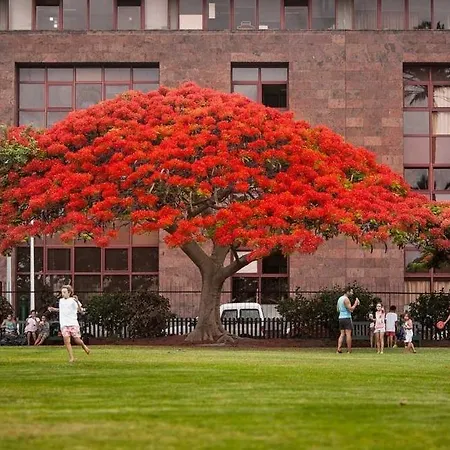 Torre Del Conde Hotel 3*
